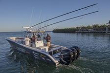36 ft Yellowfin