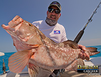 Grouper fishing with Hogy lures