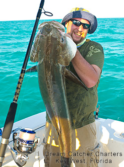 Cobia Fishing with dream catcher charters