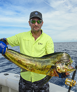dolphin also called mahi mahi are a great table fare fish caught here in Key West