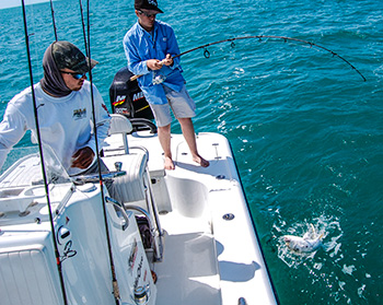Landing a fish. Key West fishing
